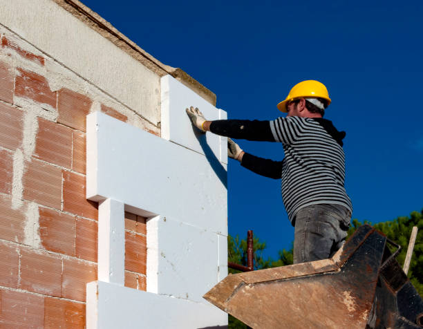 Best Blown-in Insulation  in Carlisle, KY