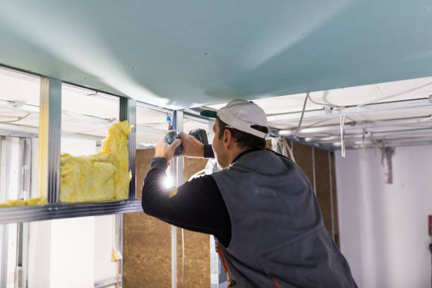 Best Spray Foam Insulation  in Carlisle, KY
