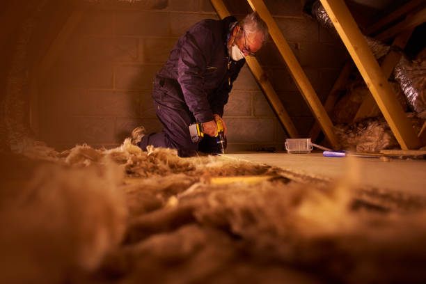 Best Attic Insulation Installation  in Carlisle, KY